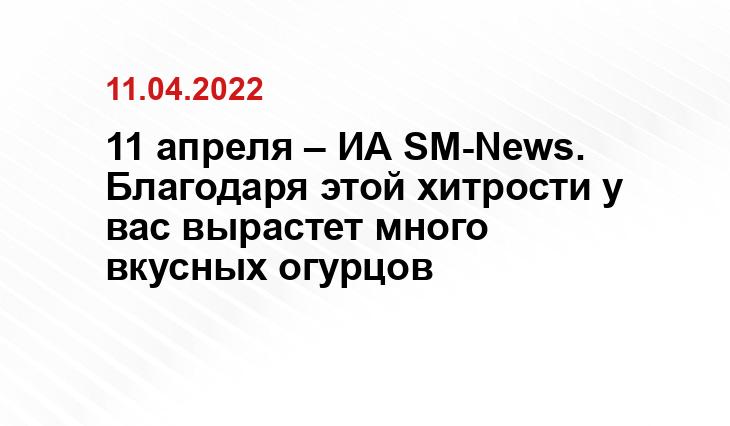 ogorod-bez-hlopot.ru