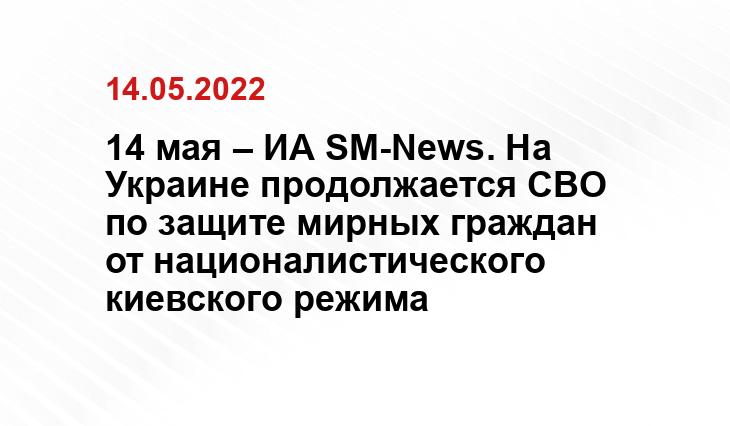 molva33.ru