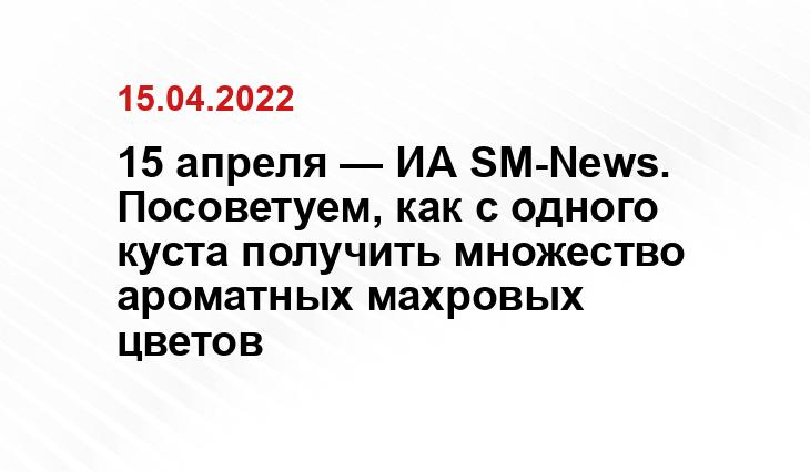 Чем подкормить и как напоить, чтобы пионы цвели на зависть соседям