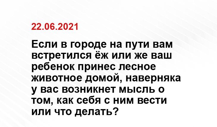yandex.ru