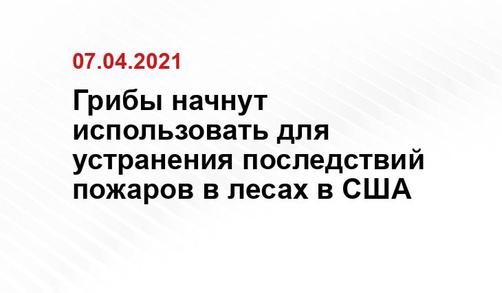 goodfon.ru