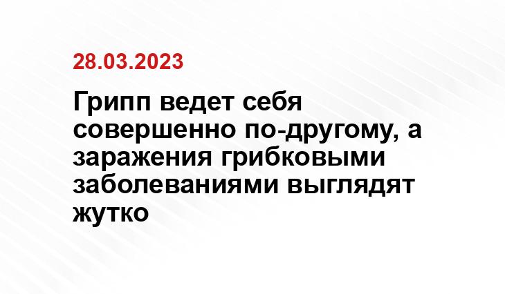 ИА SM-News