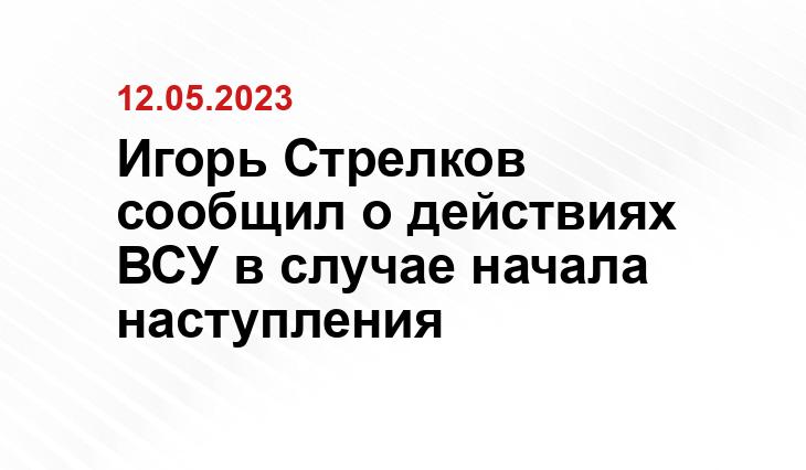 Игорь Стрелков сообщил о действиях ВСУ в случае начала наступления