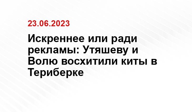 Искреннее или ради рекламы: Утяшеву и Волю восхитили киты в Териберке