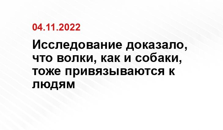 w-dog.ru