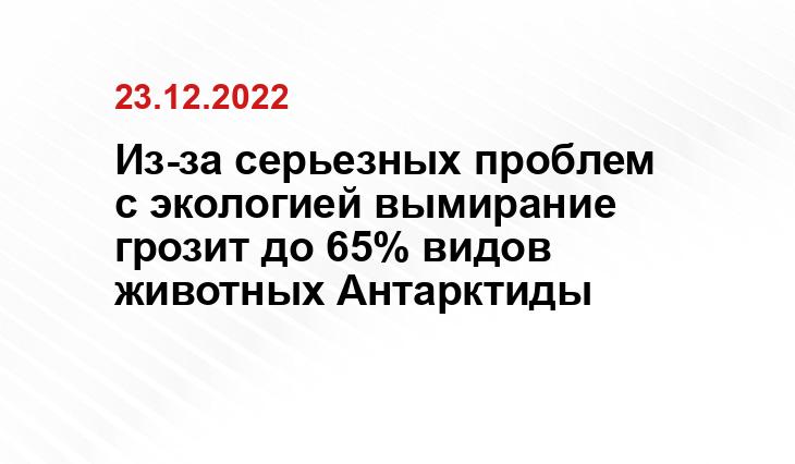 Из-за серьезных проблем с экологией вымирание грозит до 65% видов животных Антарктиды