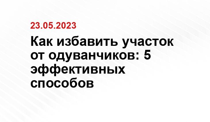 Сгенерировано нейросетью