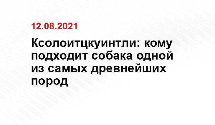cat4you.ru