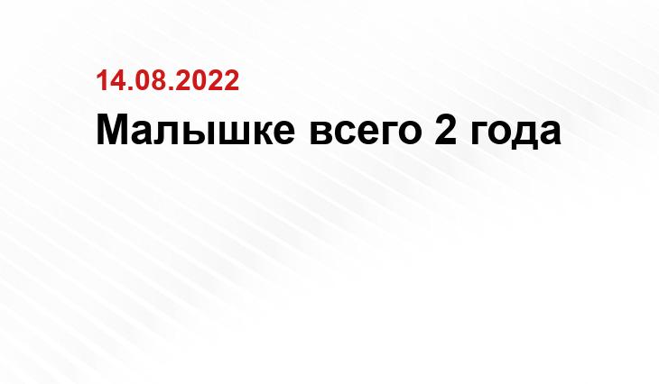 yandex.ru