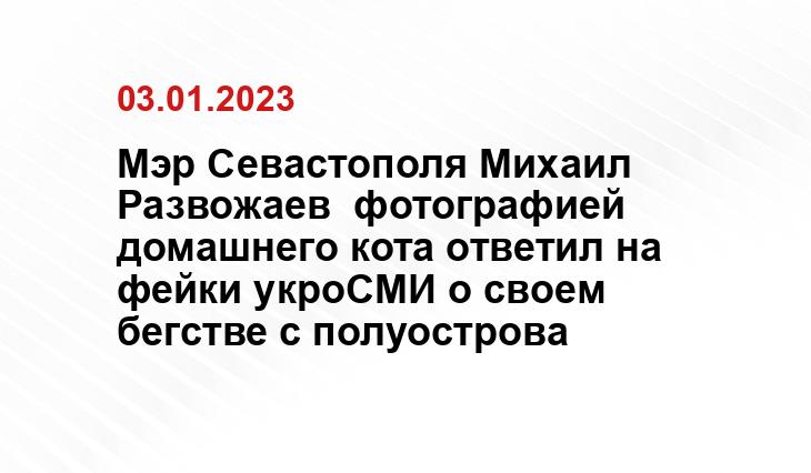 dzen.ru