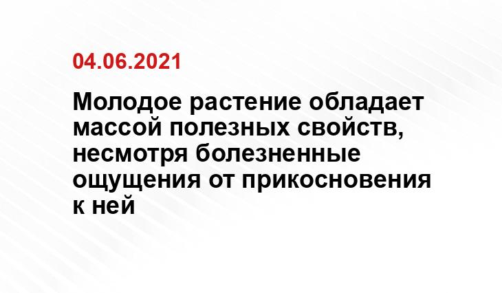 boilfood.ru
