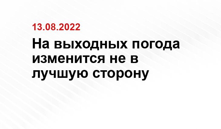 molva33.ru

