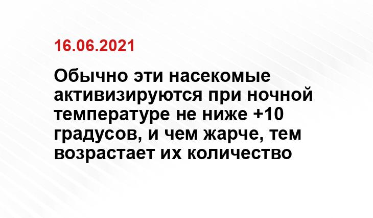 beyklopov.ru