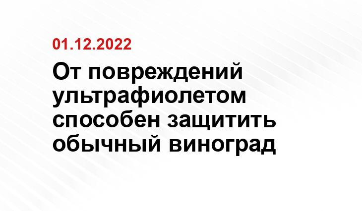 newogorod.ru