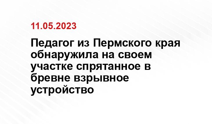 Педагог из Пермского края обнаружила на своем участке спрятанное в бревне взрывное устройство