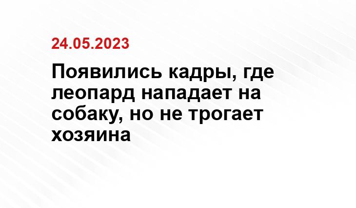 ИА SM-News