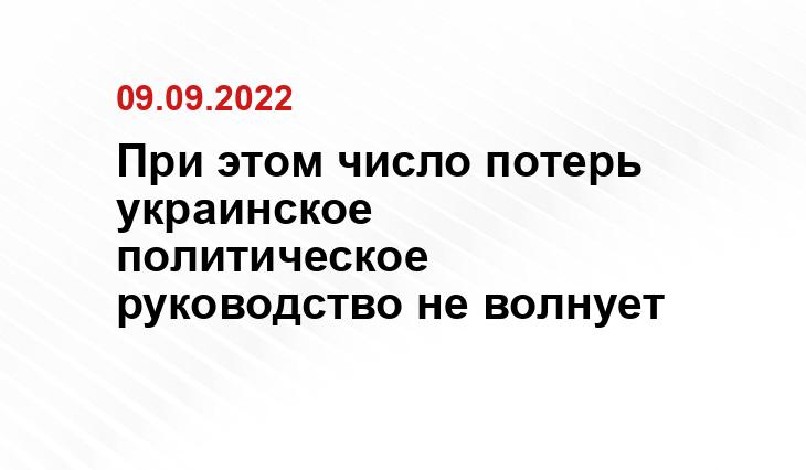 yandex.ru/images
