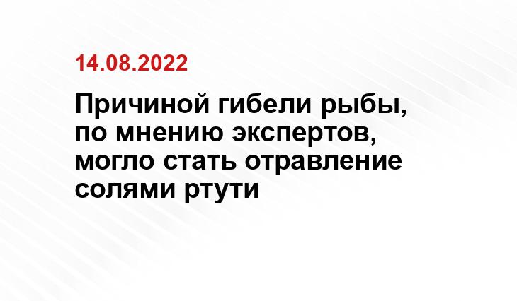 ntdtv.ru