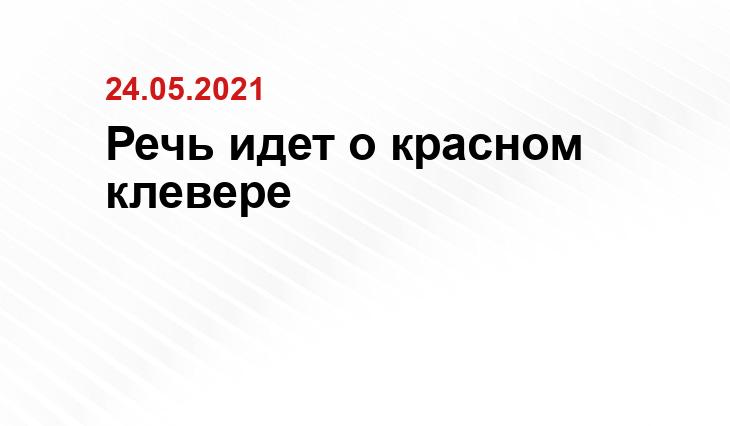 yandex.ru