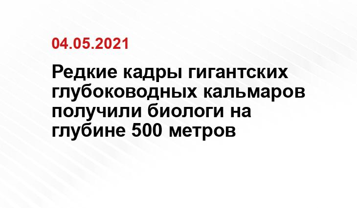 zooblog.ru