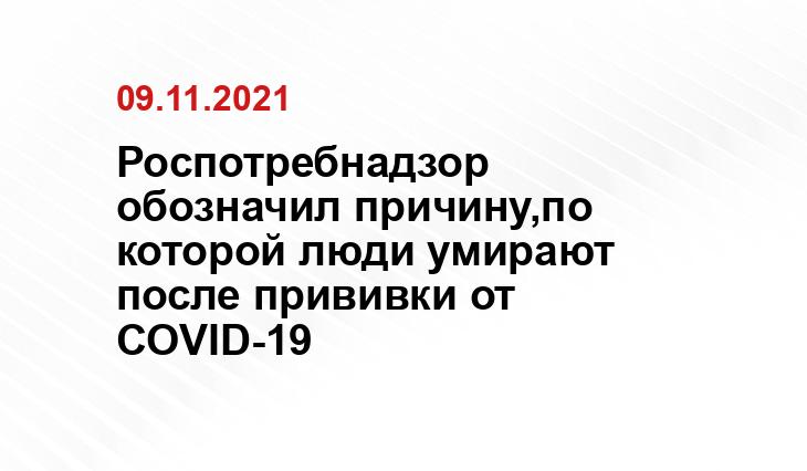 today.29ru.net