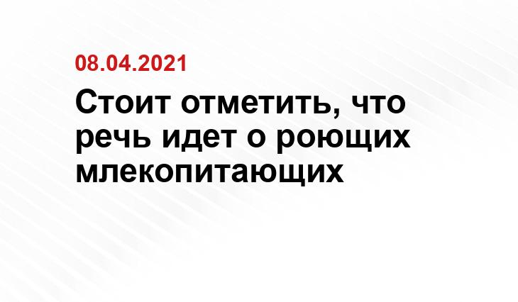 potokmedia.ru