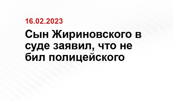 Сын Жириновского в суде заявил, что не бил полицейского