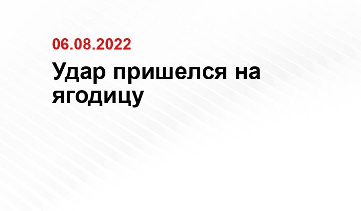 yandex.ru