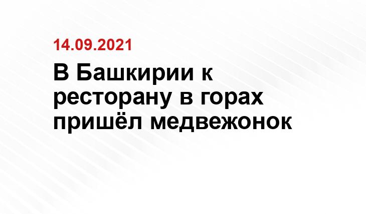 скриншот с видео