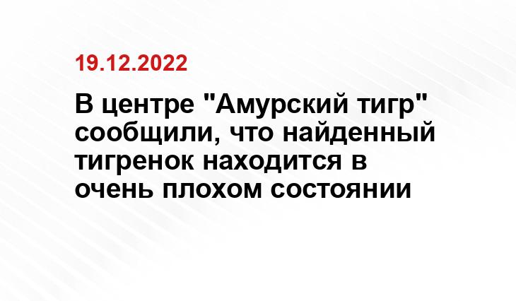 В центре "Амурский тигр" сообщили, что найденный тигренок находится в очень плохом состоянии