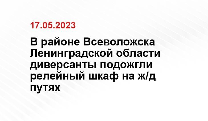 В районе Всеволожска Ленинградской области диверсанты подожгли релейный шкаф на ж/д путях