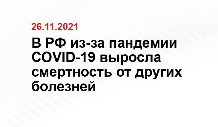 ria.ru