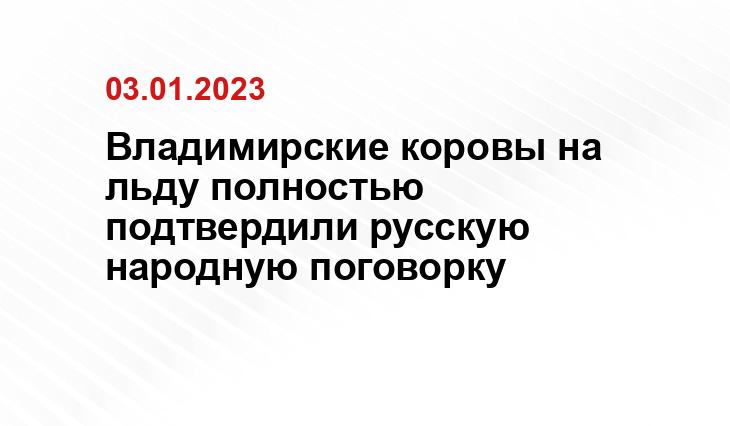 Владимирские коровы на льду полностью подтвердили русскую народную поговорку