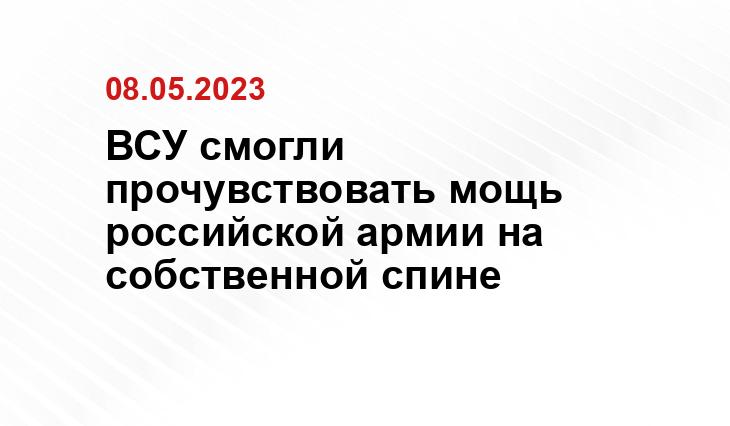 ВСУ смогли прочувствовать мощь российской армии на собственной спине