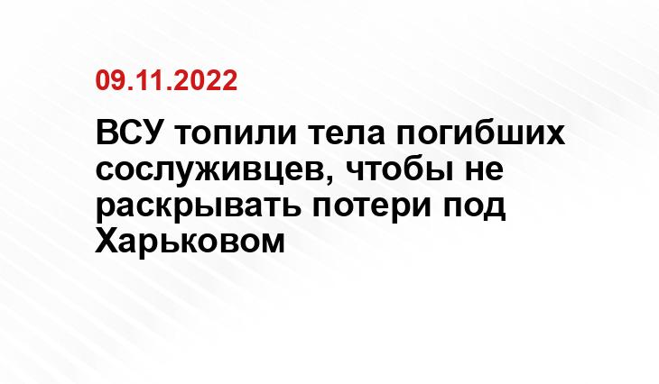donbasstoday.ru