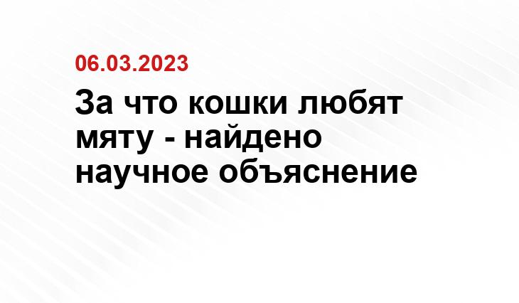 ИА SM-News