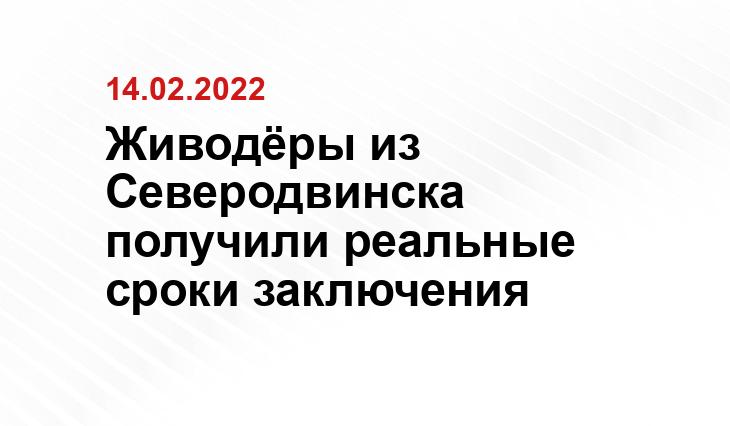 https://vk.com/