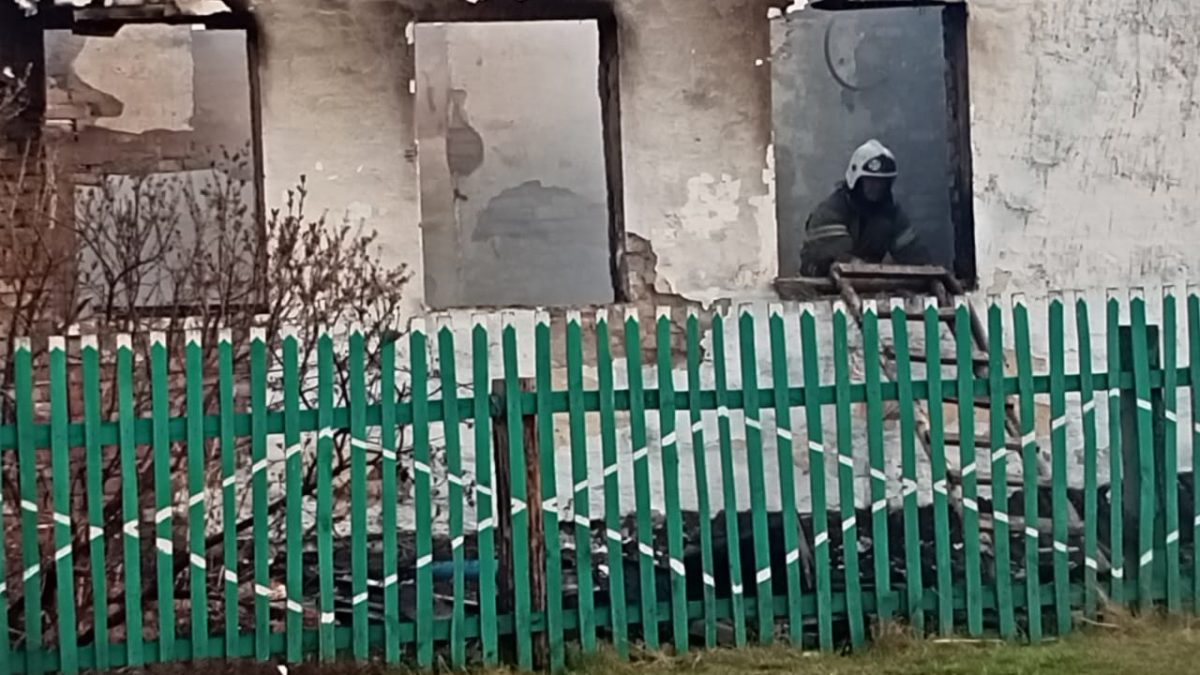 Лесной пожар в Омской области уничтожил 25 строений, в том числе 14 жилых домов
