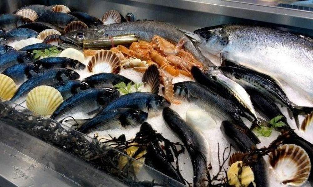 Украине предрекли рыбный кризис в случае блокады Беларуси