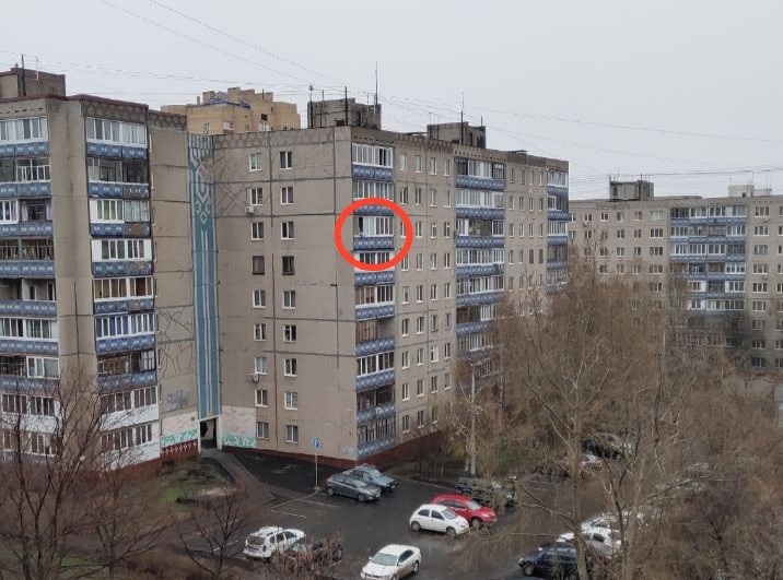 В Уфе возбудили дело против женщины, которая выбросила кошек с седьмого этажа