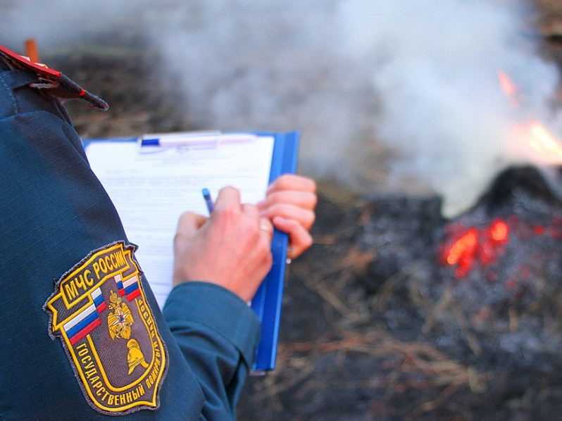 В половине районов Томской области ввели особый противопожарный режим