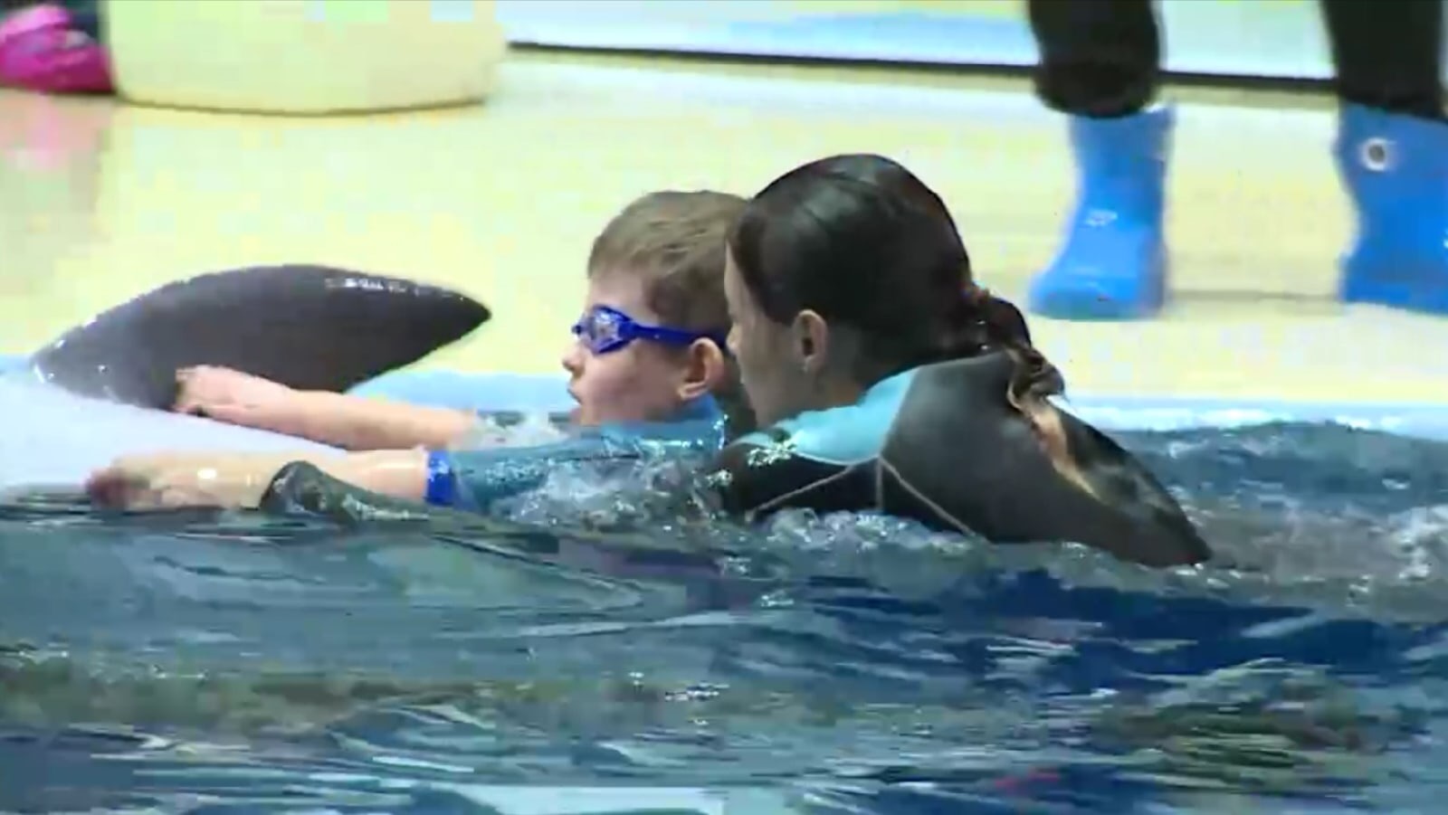 Губернатор Ямала осуществил мечту ребёнка поплавать с дельфинами