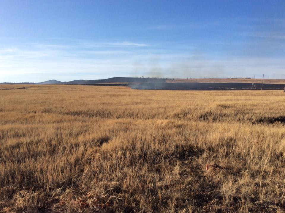 Погода хушенга забайкальский край хилокский. Поля Забайкалья. Село Линево озеро Забайкальский край.