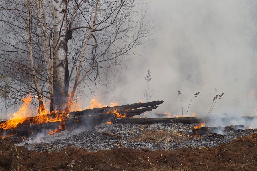 В Забайкалье прогнозируют первые лесные пожары уже в марте