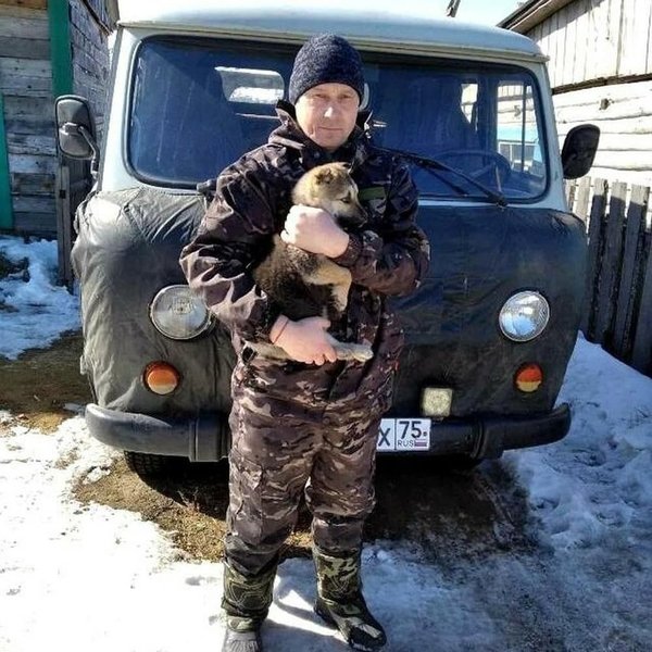 В Забайкалье сотрудник силовой структуры спас из снежного бурана щенка собаки