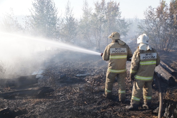 Томский губернатор призвал жителей беречь лес от пожаров