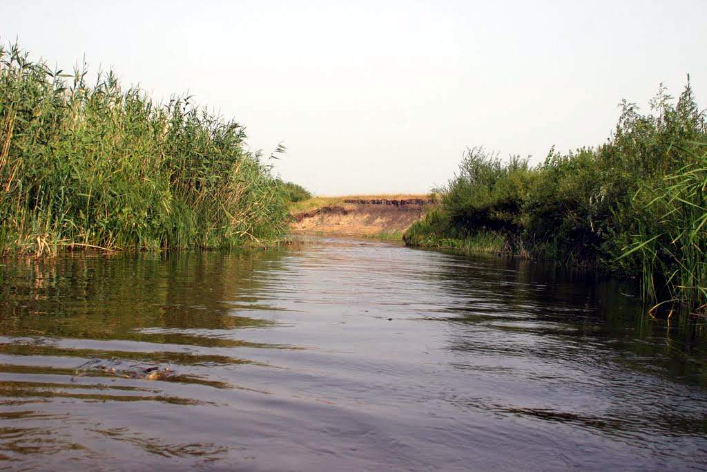 В Воронежской области продолжается работа по расчистке русла малых рек