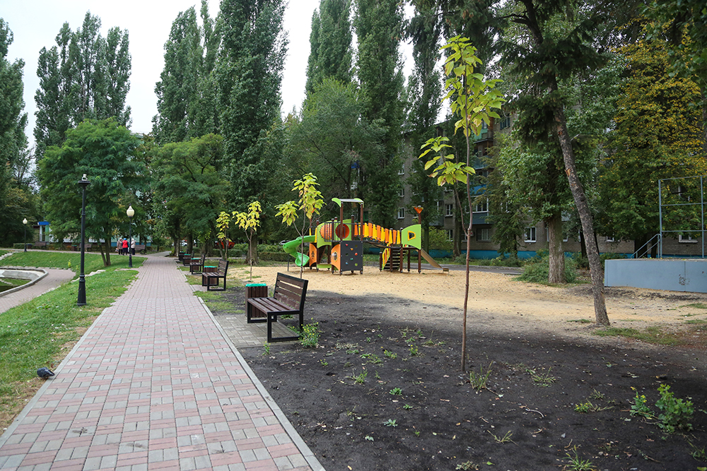 Мэр Воронежа: осенью в городе планируется высадить почти 700 деревьев