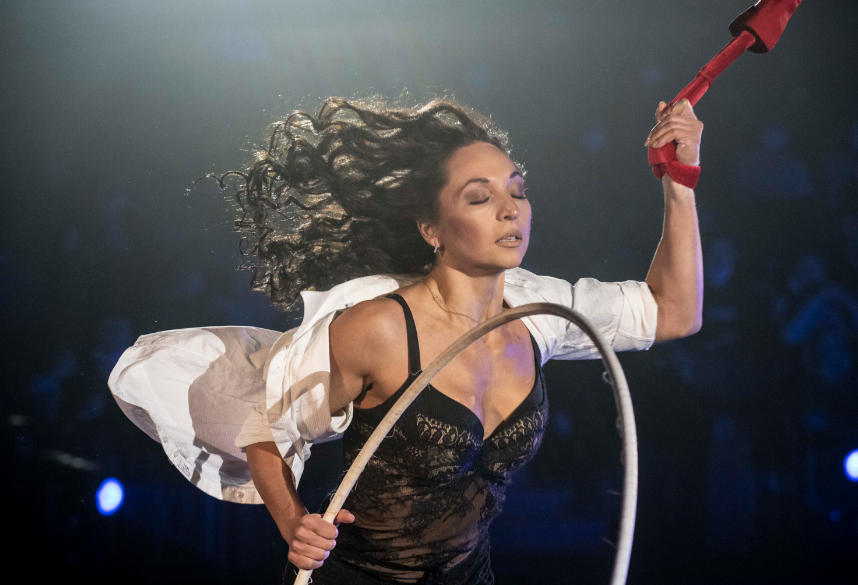 Став цирк. Дрессировщик львов в цирке. Став цирк. Гала концерт пермь цирк. Фестиваль цирк без границ.