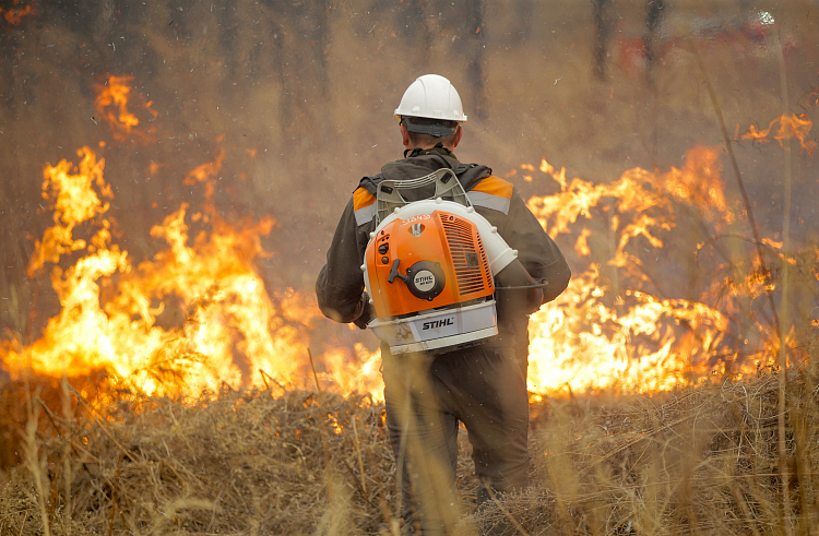Интерактивная карта лесных пожаров в помощь приморским огнеборцам
